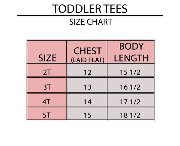 Lil Sis Square Toddler Graphic Tee